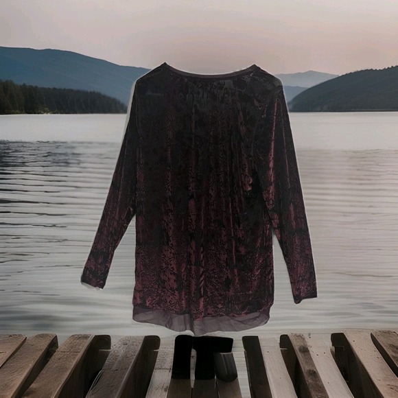 Simply Vera Wang Womens Whimsigoth Velvet Burnout Top Size L Sheer Fairy Grunge - Picture 9 of 9